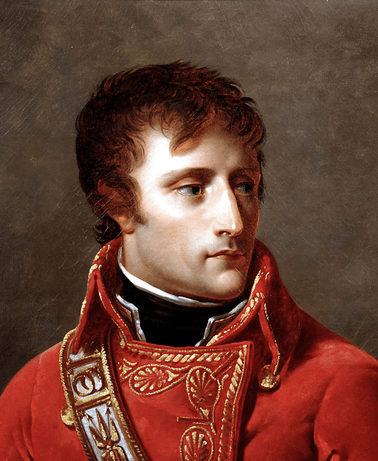 Napoleon bonaparte destroyer of french revolution