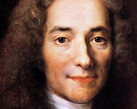 Voltaire essay
